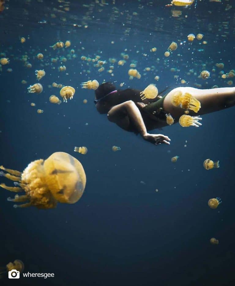 Sohoton Jellyfish Sanctuary