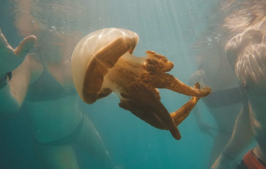 Sohoton Cove Joiner Tour