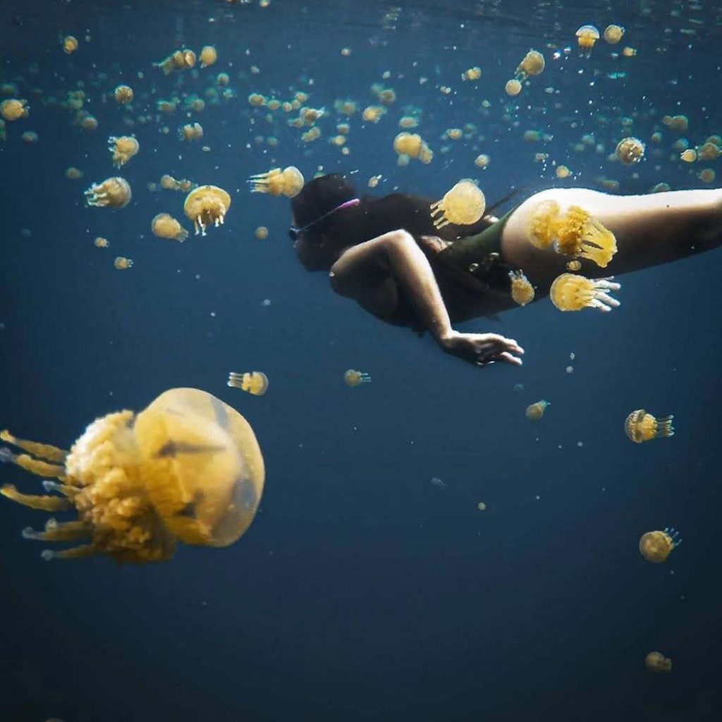 Sohoton Jellyfish Sanctuary