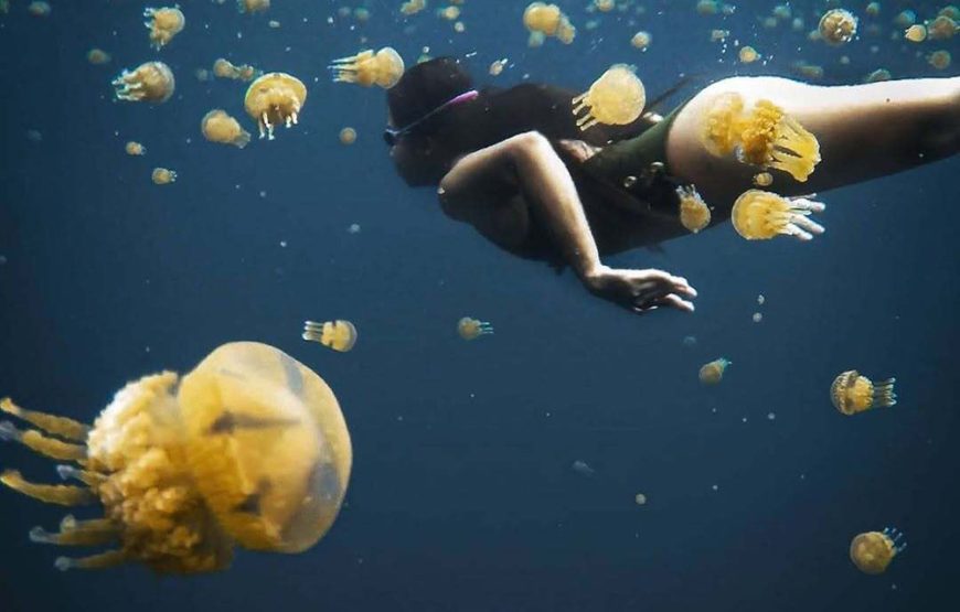 Sohoton Cove Private Tour